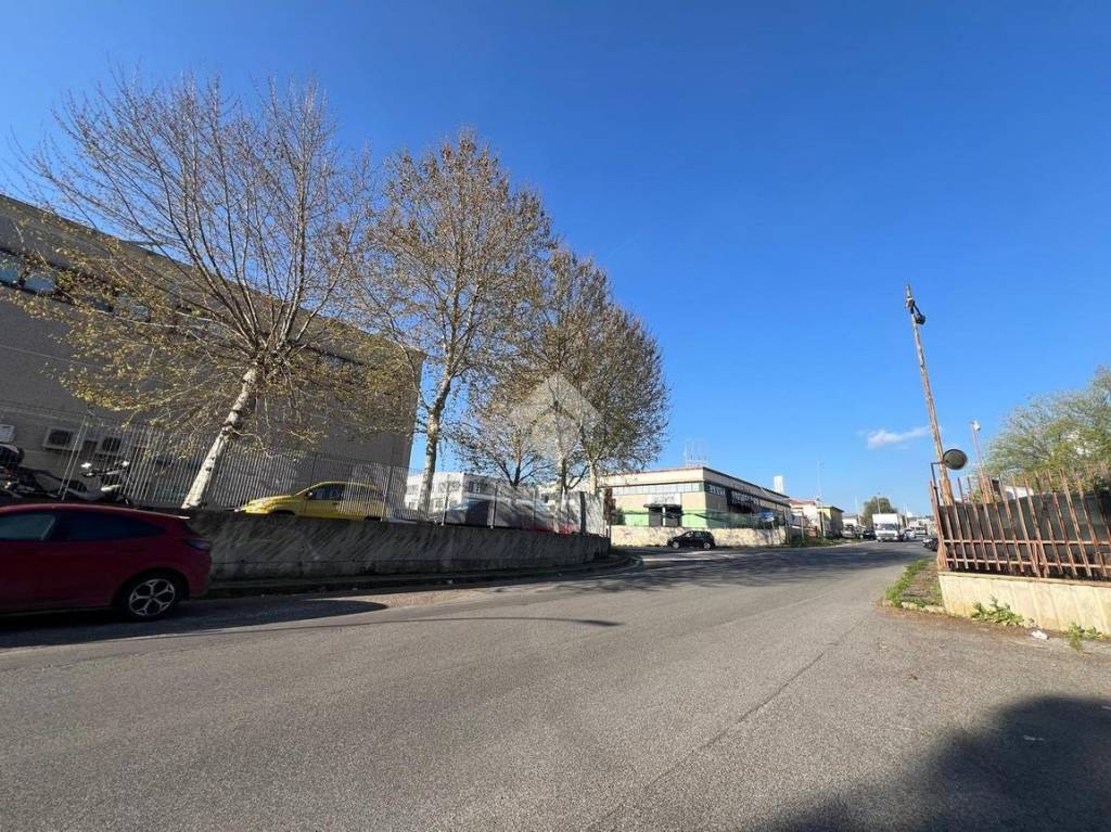 immagine annuncio 4 di 12