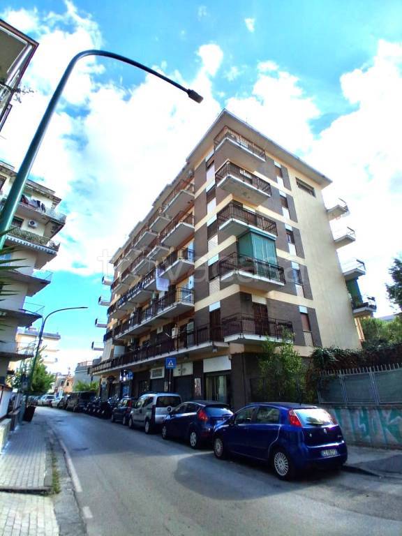 immagine annuncio 13 di 14