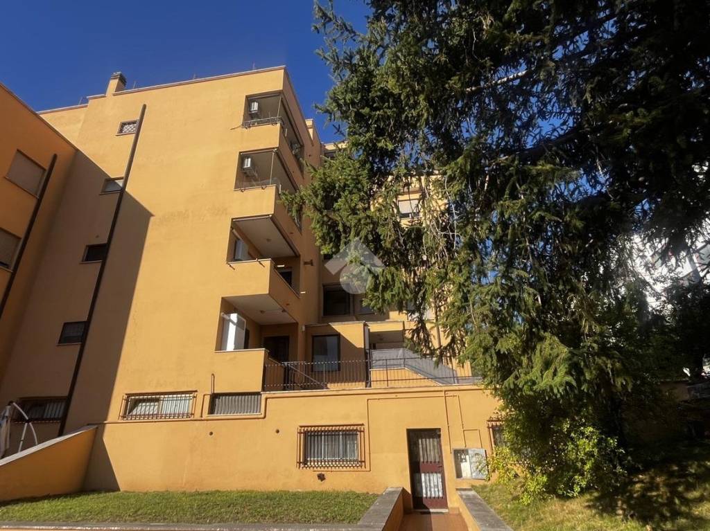 immagine annuncio 2 di 12