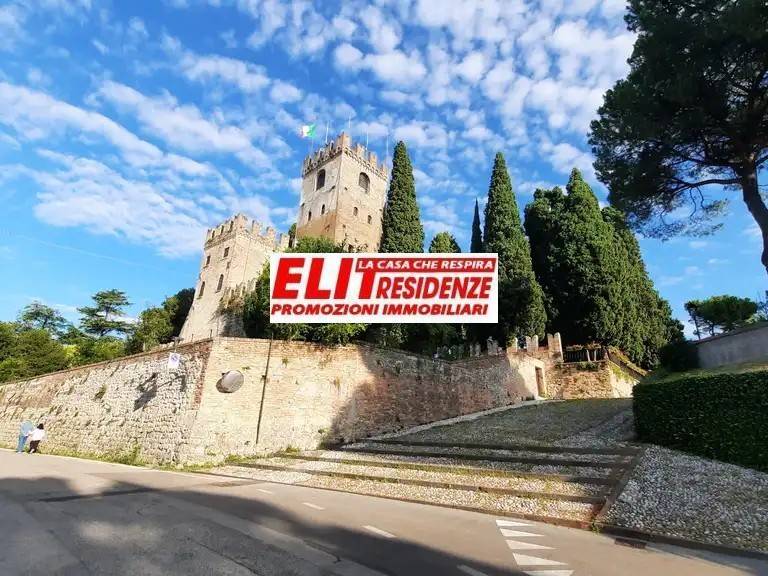 immagine annuncio 9 di 12