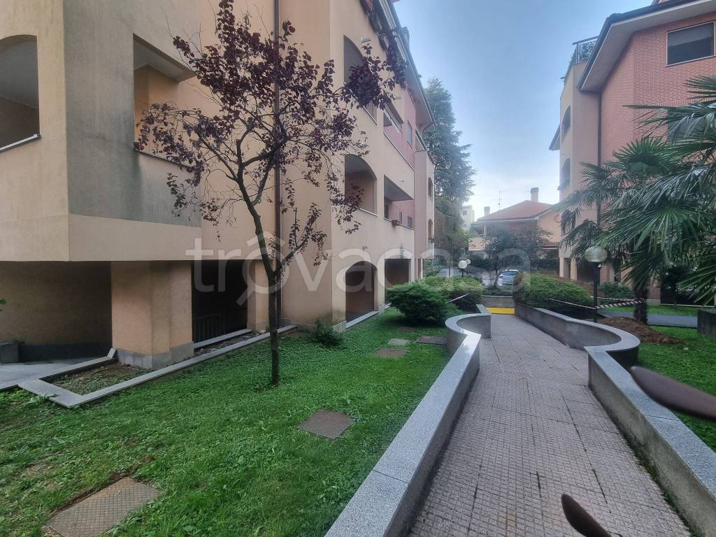 immagine annuncio 2 di 15