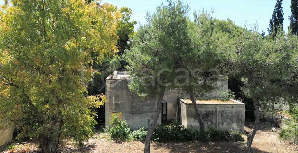 immagine annuncio 7 di 11