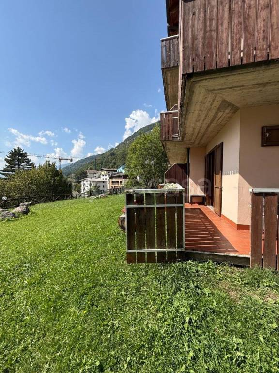 immagine annuncio 3 di 15