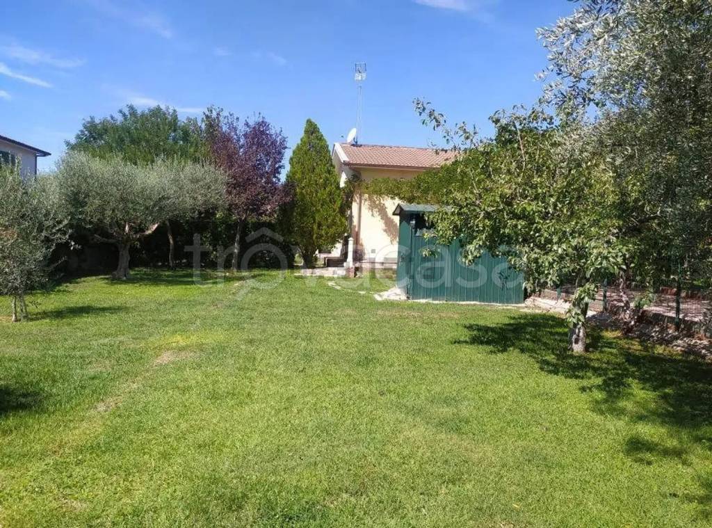 immagine annuncio 6 di 15