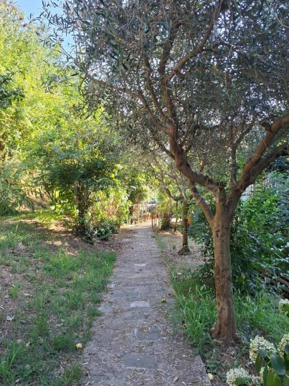 immagine annuncio 3 di 14