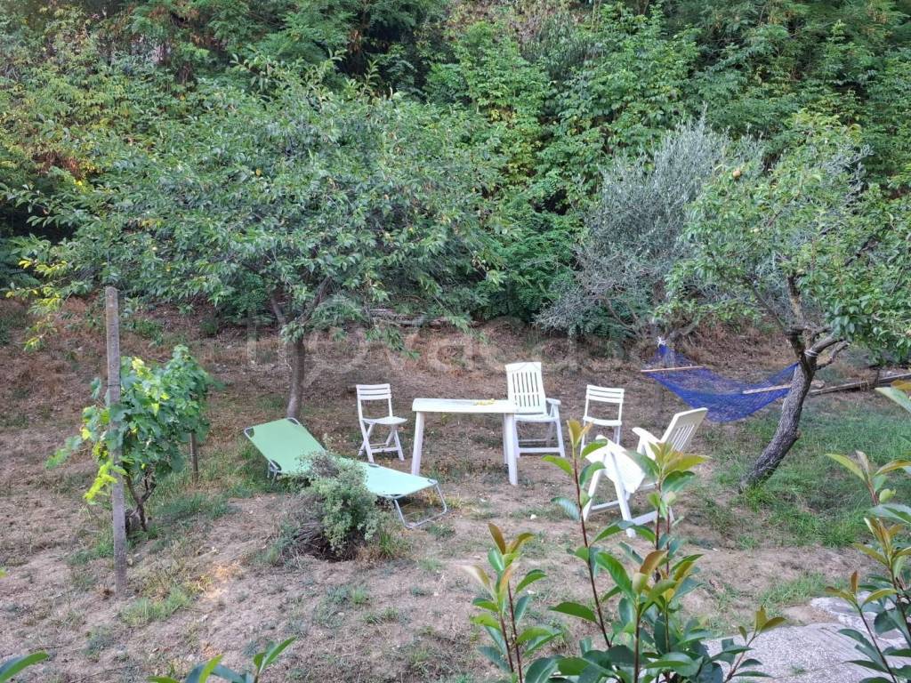 immagine annuncio 9 di 14