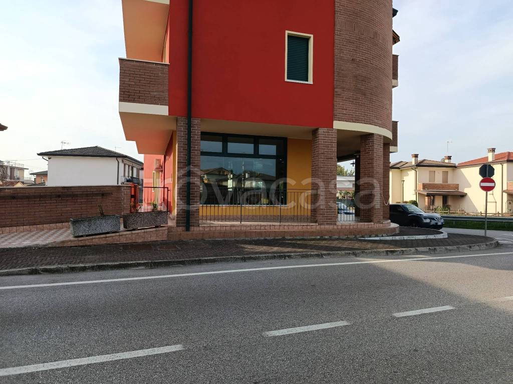 immagine annuncio 2 di 7