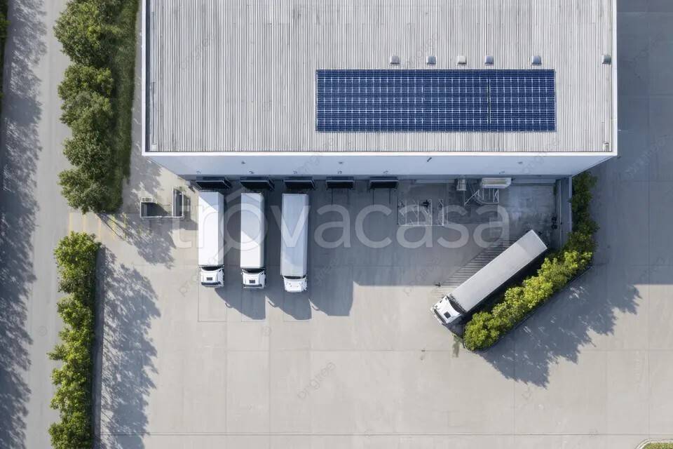 immagine annuncio 2 di 4