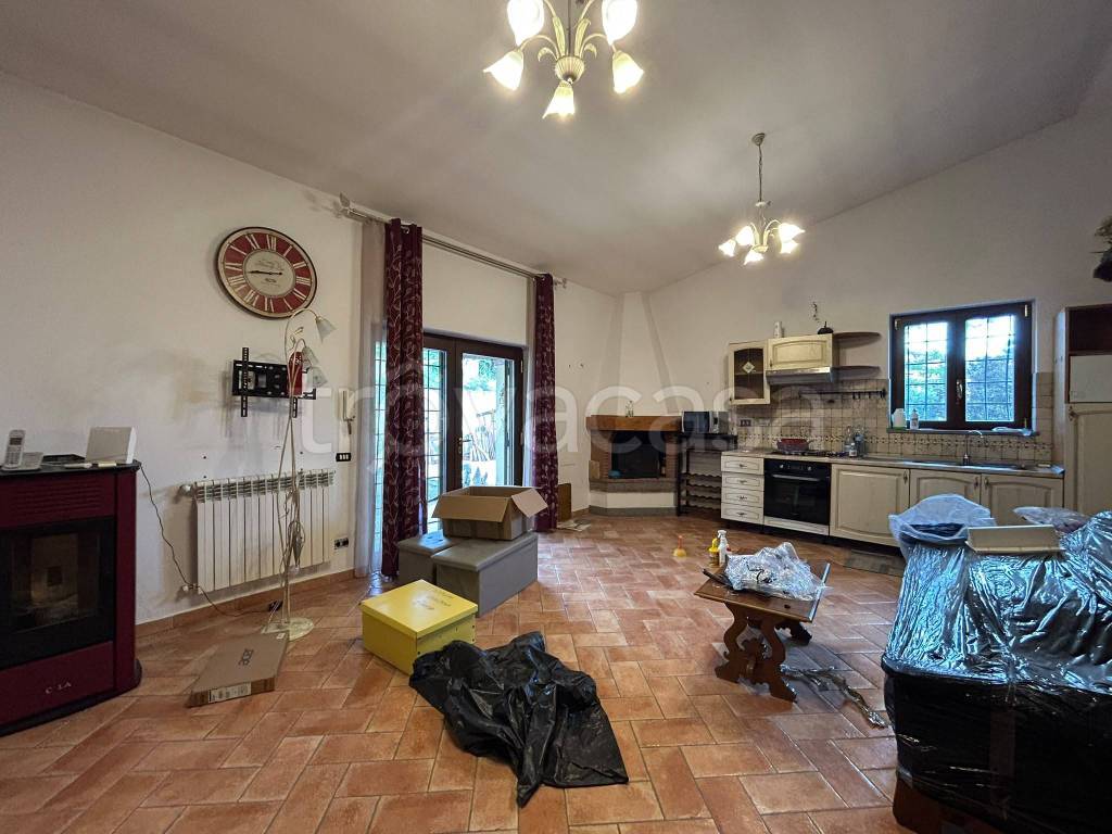 immagine annuncio 2 di 14