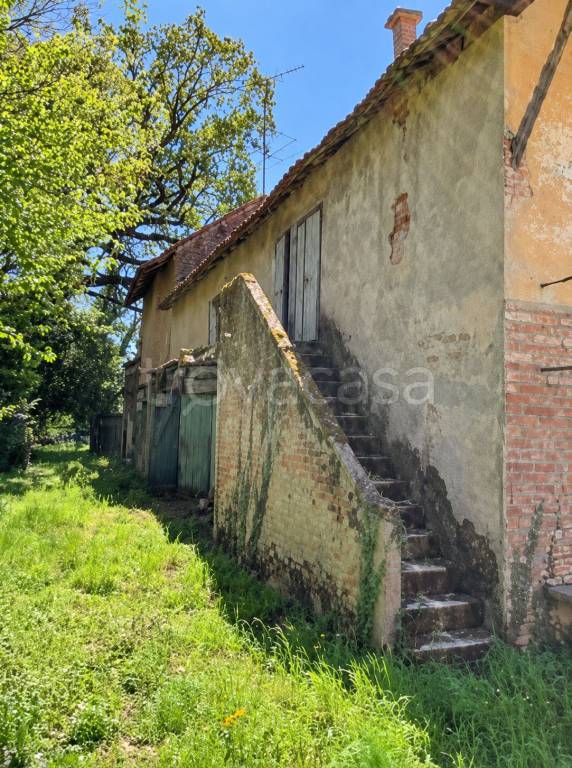 immagine annuncio 4 di 11