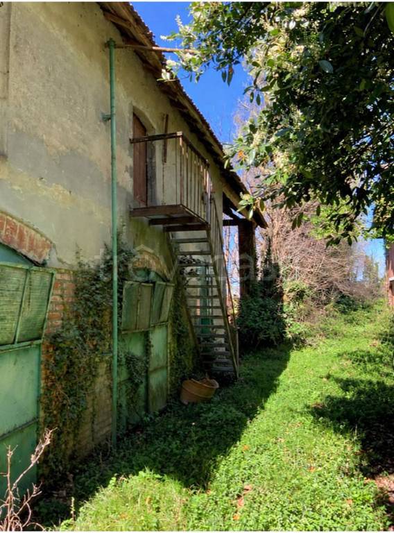immagine annuncio 5 di 11