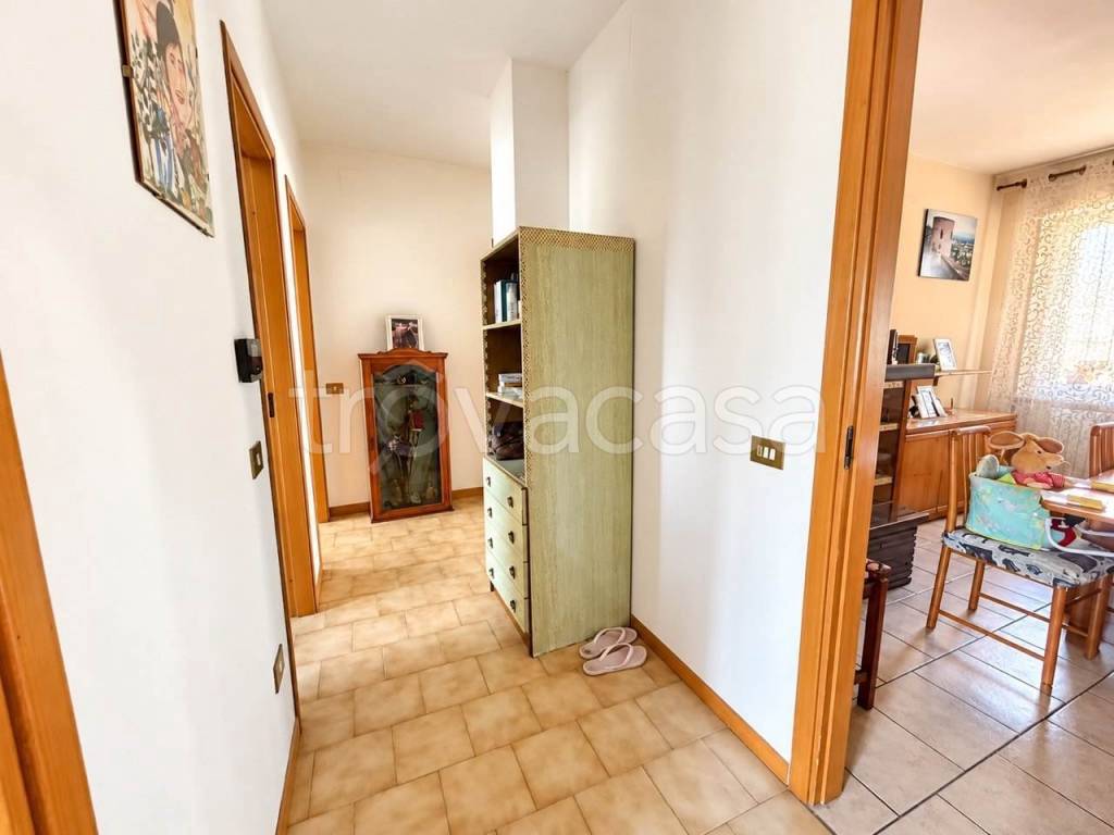 immagine annuncio 6 di 14
