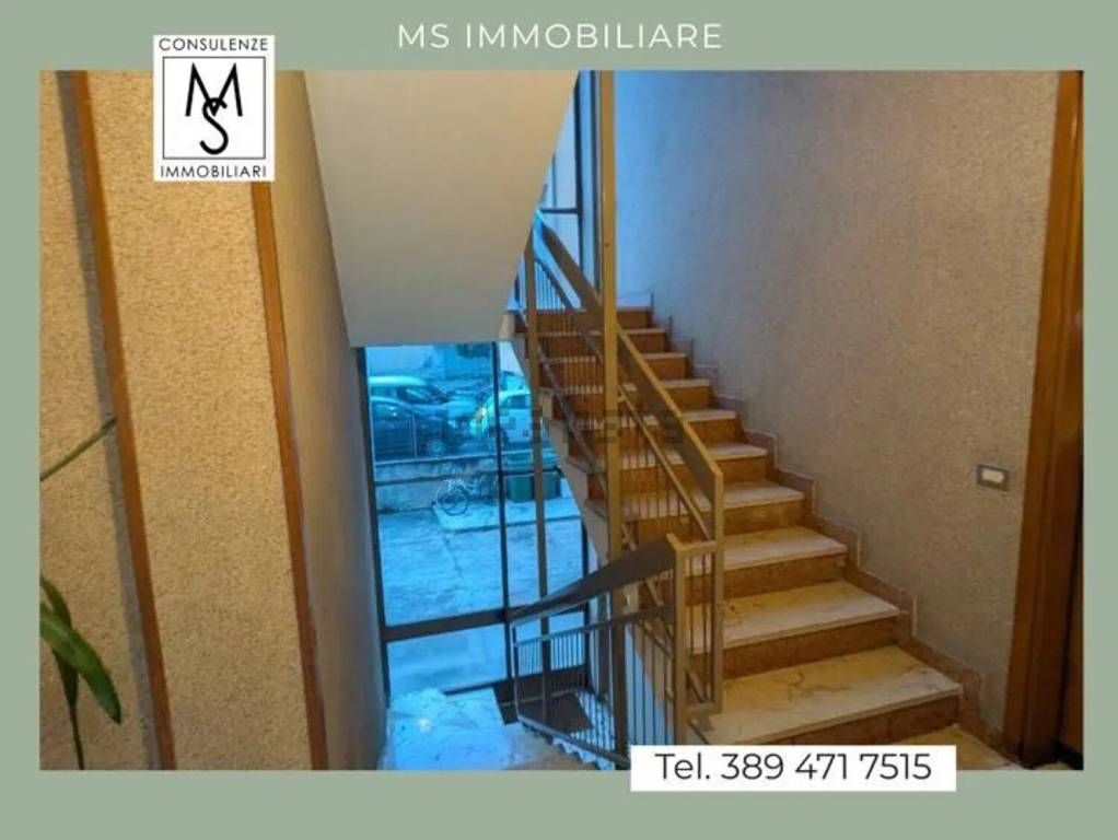 immagine annuncio 3 di 12