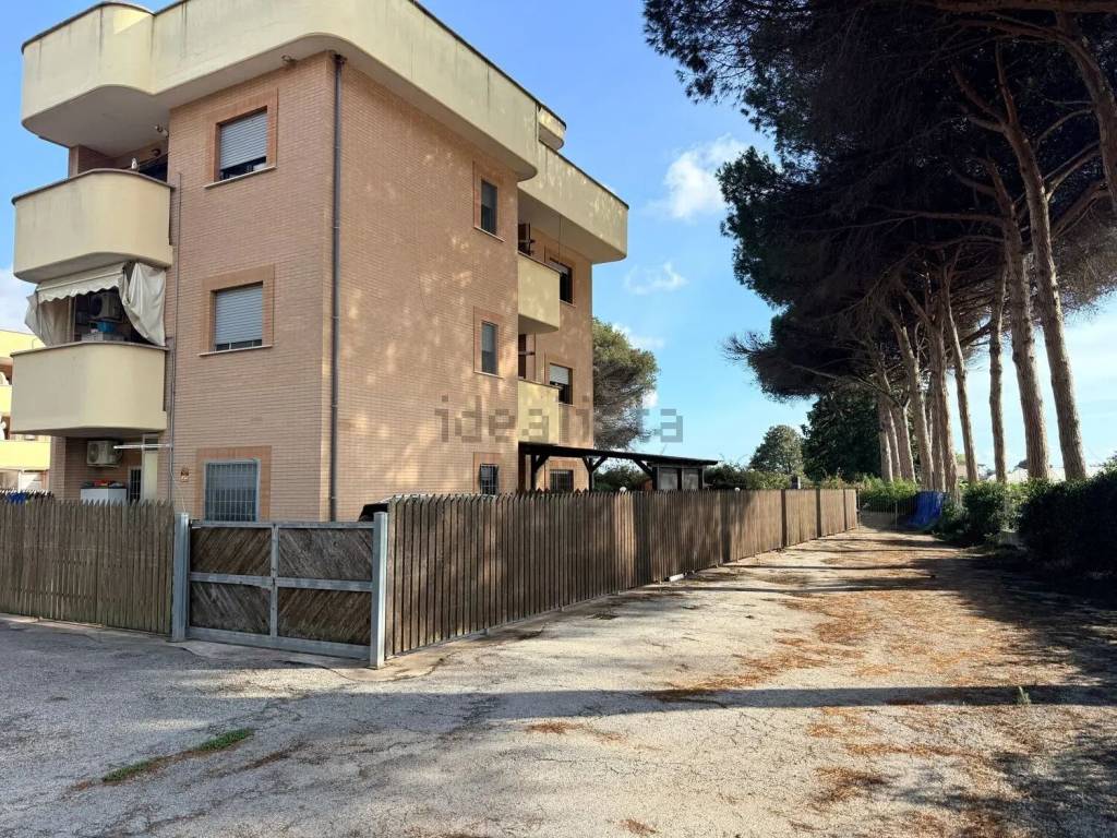 immagine annuncio 2 di 14