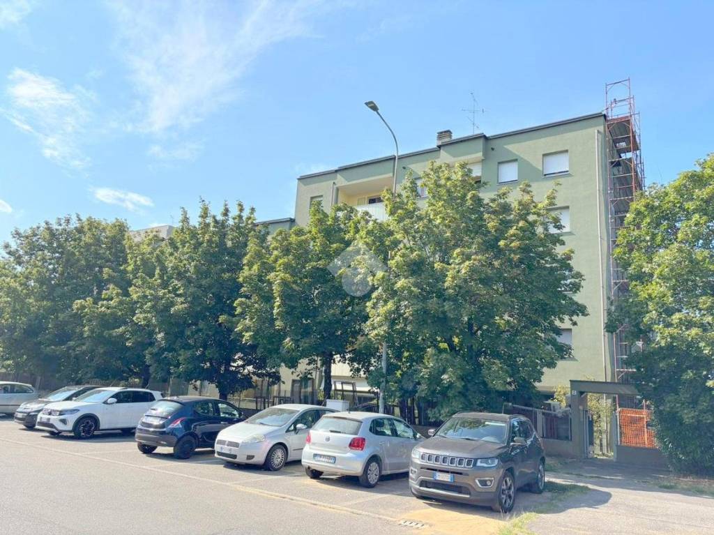 immagine annuncio 1 di 13