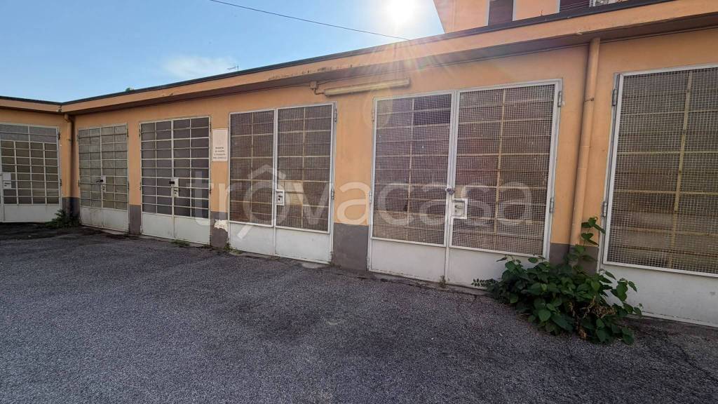 immagine annuncio 12 di 13