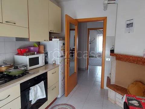 immagine annuncio 3 di 11