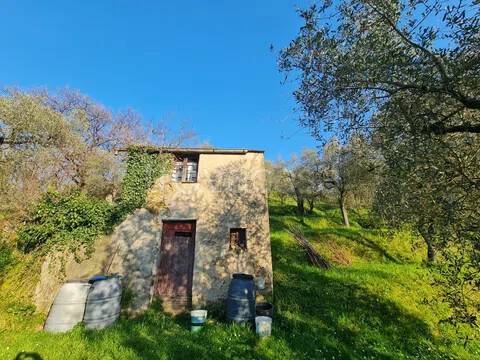 immagine annuncio 2 di 14