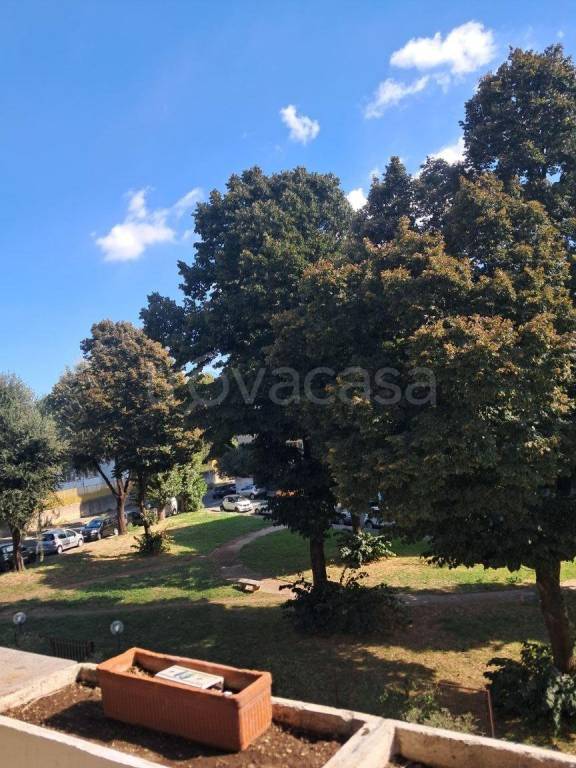 immagine annuncio 12 di 14