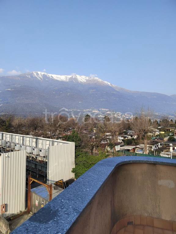 immagine annuncio 9 di 12
