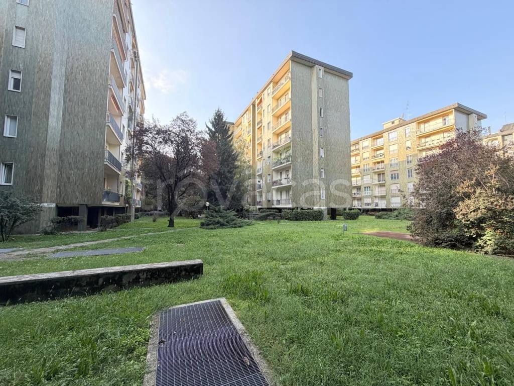 immagine annuncio 11 di 13