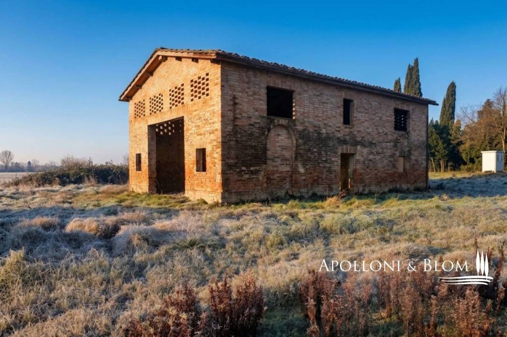immagine annuncio 6 di 11