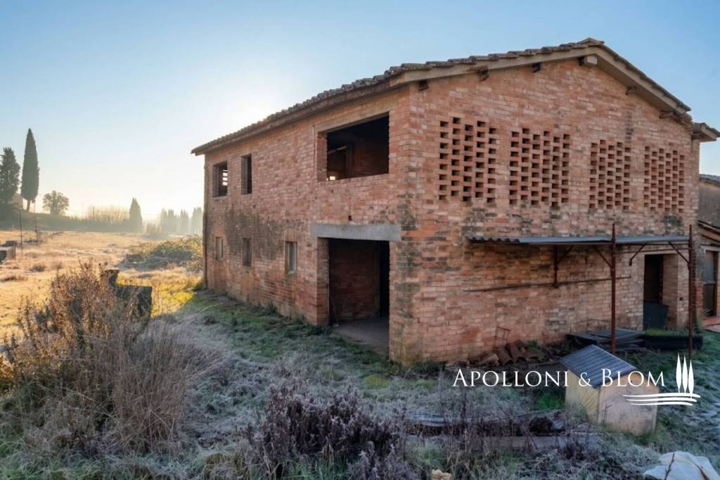 immagine annuncio 7 di 11