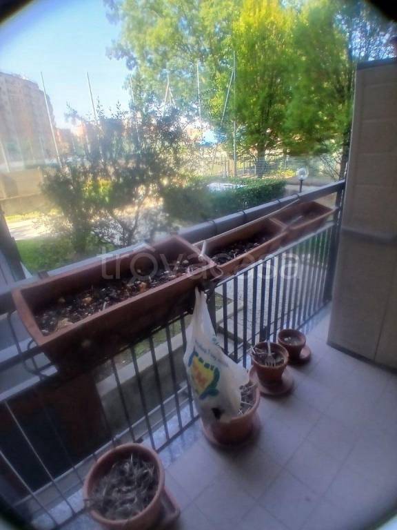 immagine annuncio 3 di 9