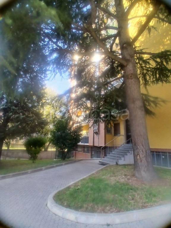 immagine annuncio 6 di 9