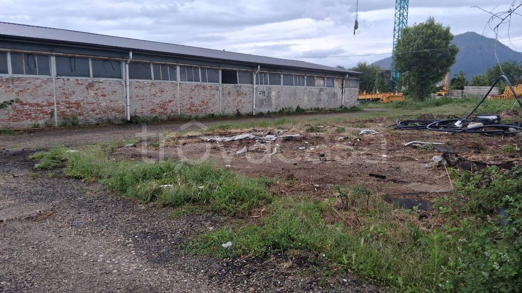 immagine annuncio 4 di 6