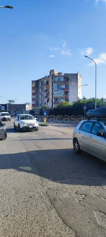 immagine annuncio 9 di 14