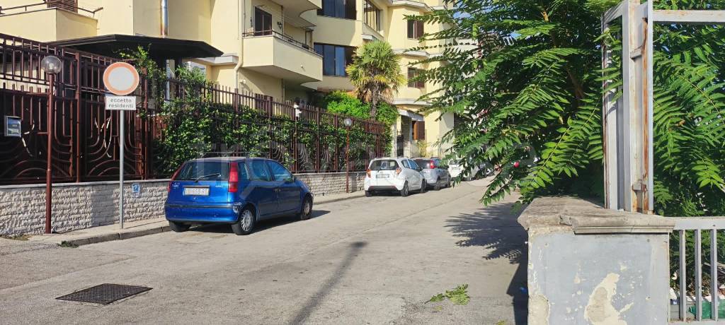 immagine annuncio 12 di 14
