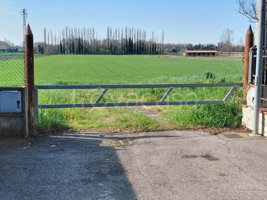 immagine annuncio 5 di 6
