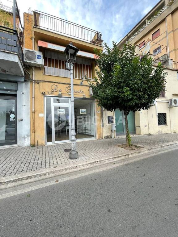 immagine annuncio 5 di 11