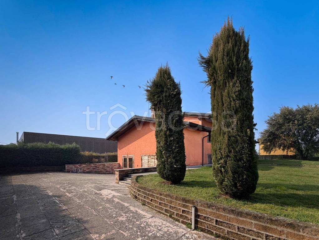 immagine annuncio 6 di 15
