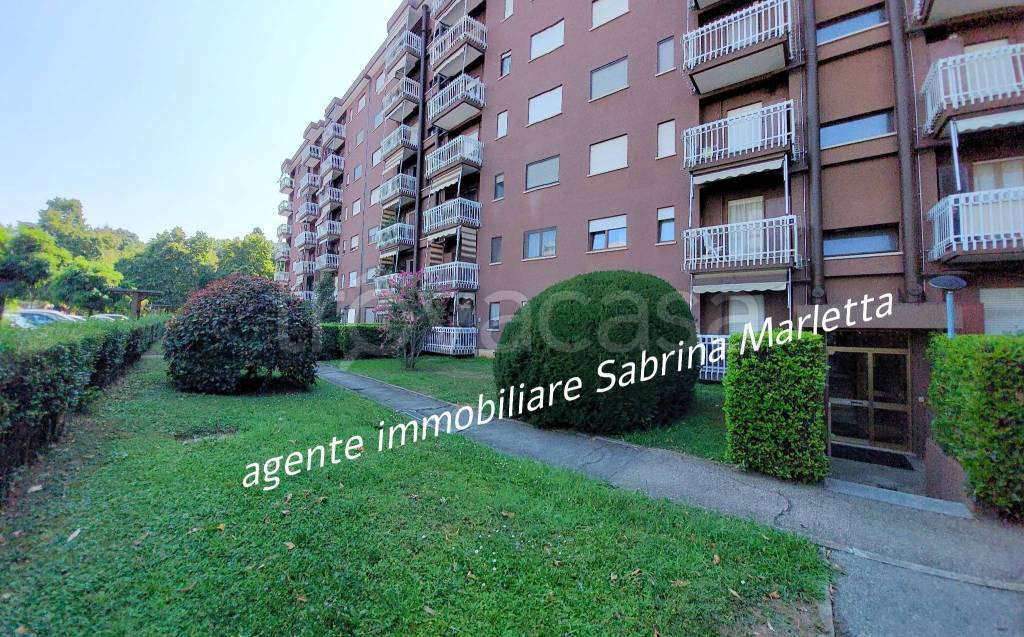 immagine annuncio 1 di 15