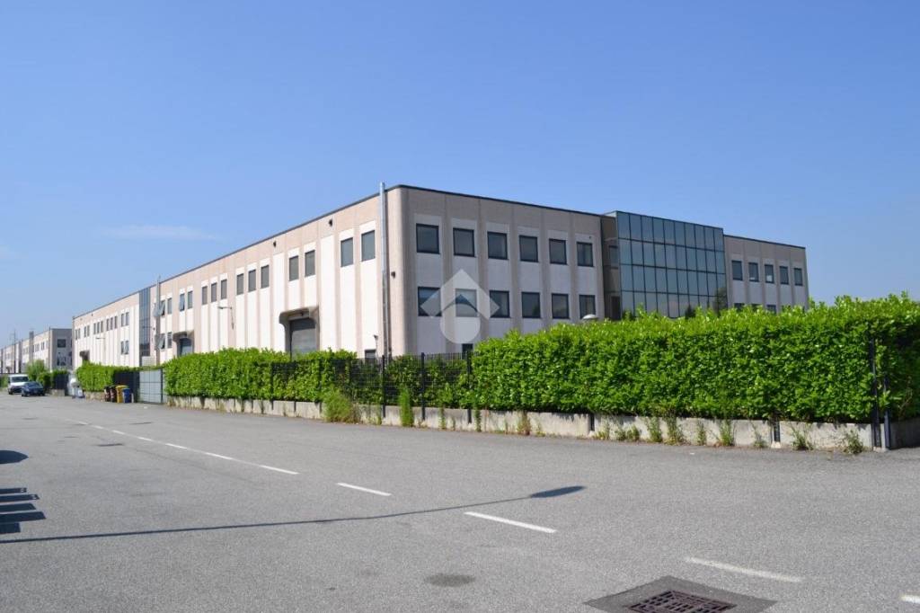 immagine annuncio 2 di 6