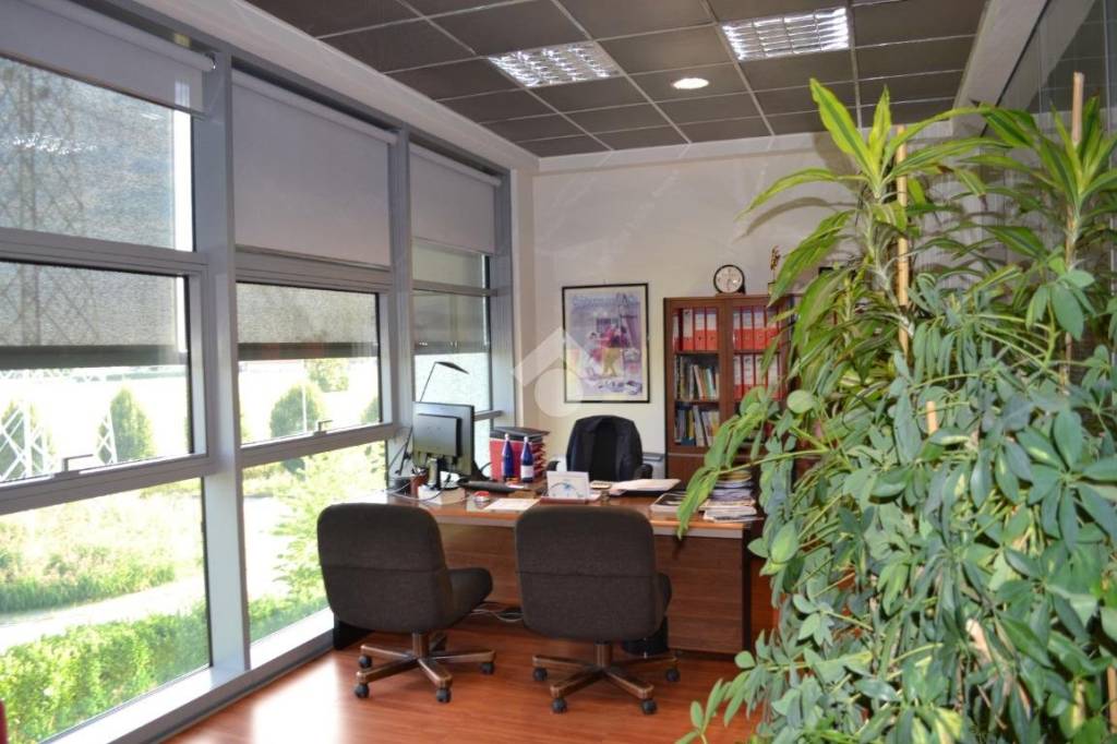 immagine annuncio 5 di 12
