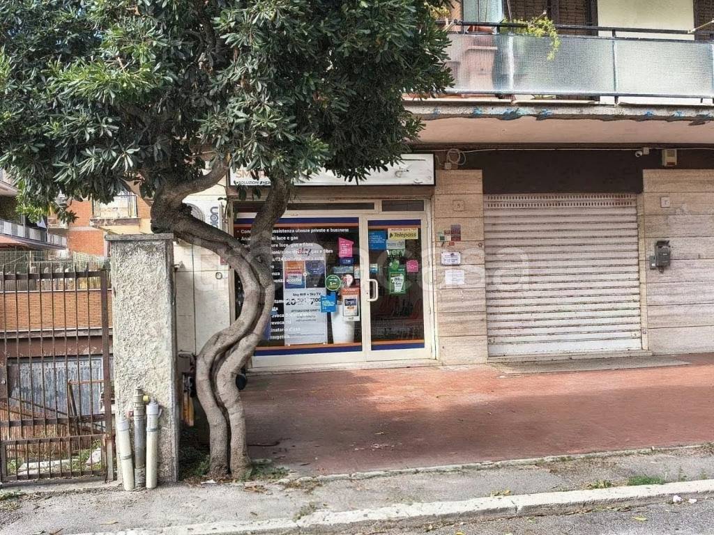 immagine annuncio 1 di 7