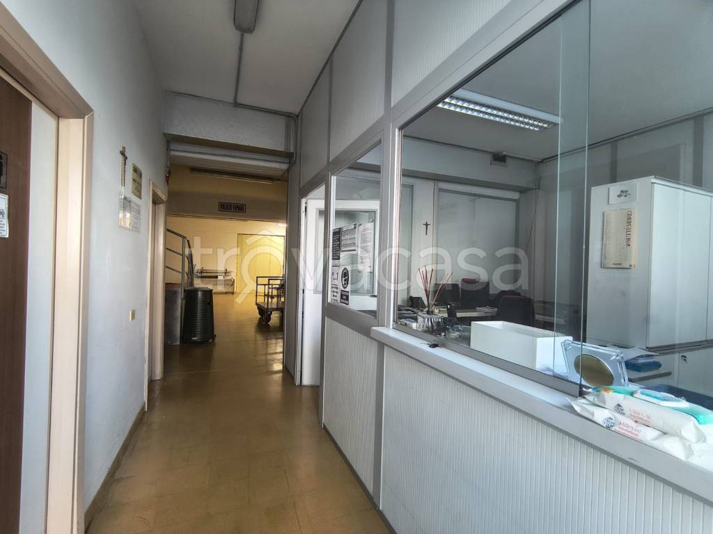 immagine annuncio 4 di 12