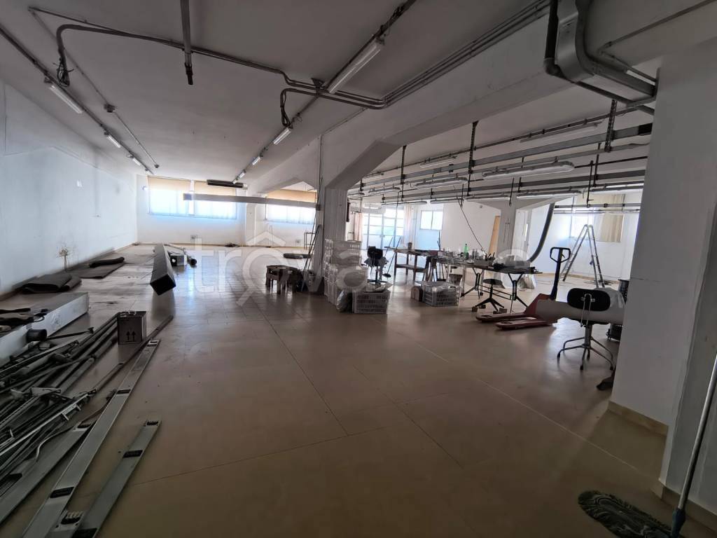 immagine annuncio 5 di 12