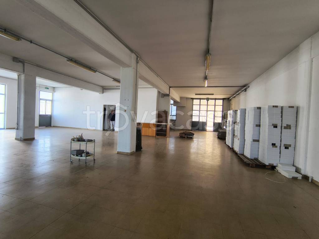 immagine annuncio 3 di 12