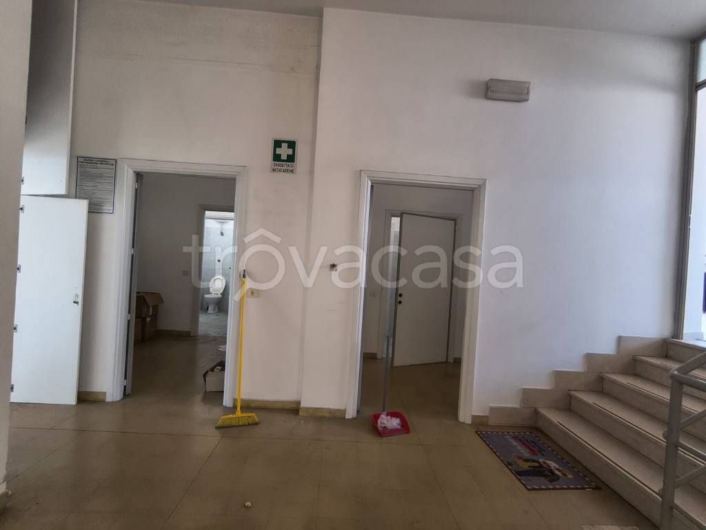 immagine annuncio 9 di 12