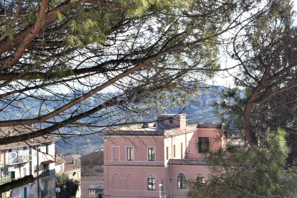 immagine annuncio 6 di 7