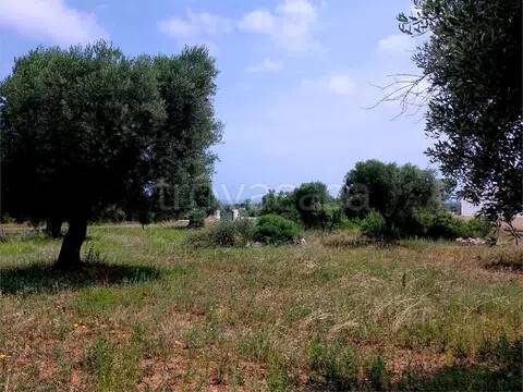 immagine annuncio 1 di 3