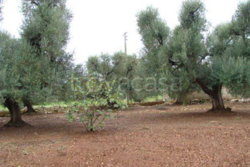 terreno in vendita a Francavilla Fontana