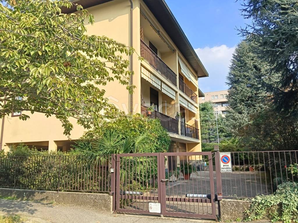 immagine annuncio 1 di 14