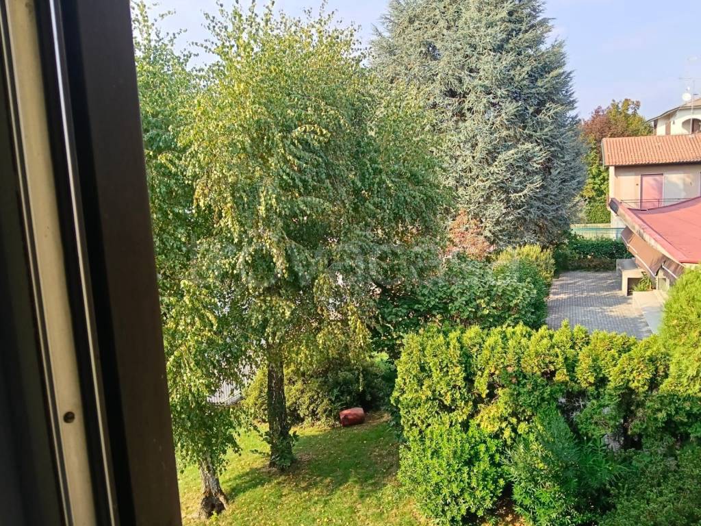 immagine annuncio 11 di 14