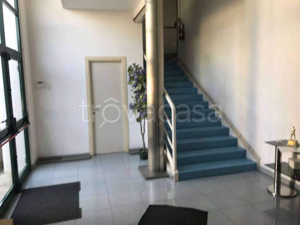 immagine annuncio 9 di 14