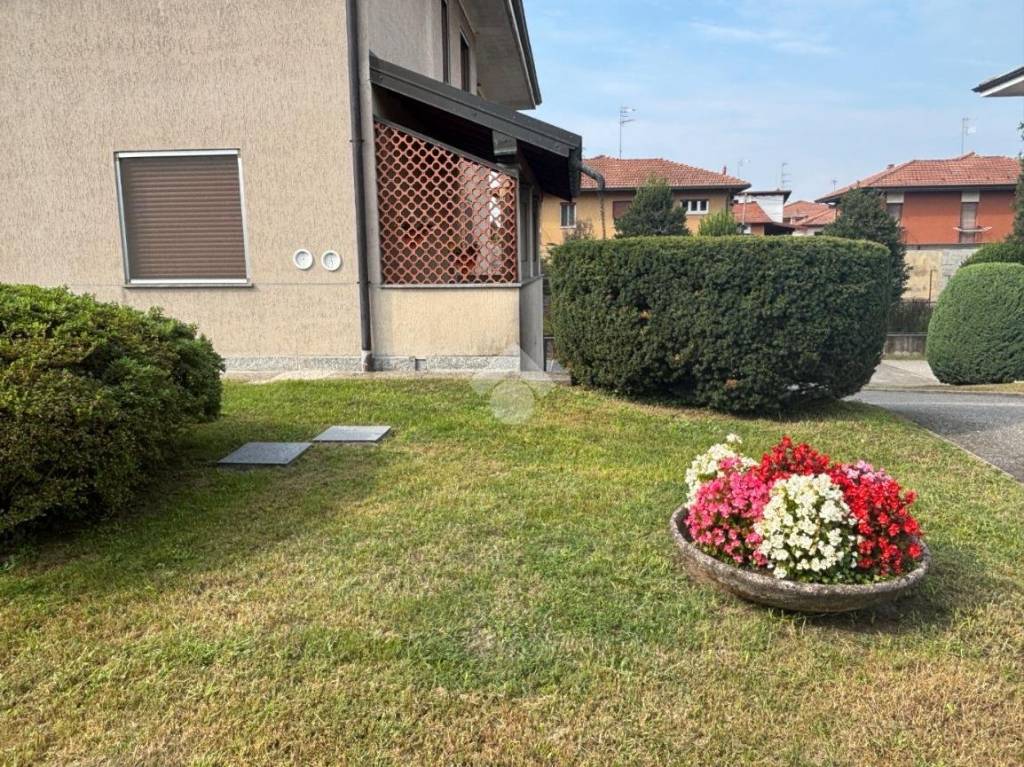 immagine annuncio 5 di 15